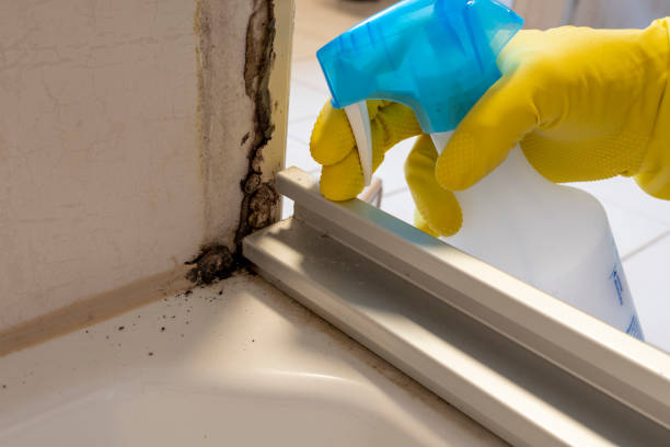 Best HVAC Mold Remediation in Monroe, IA